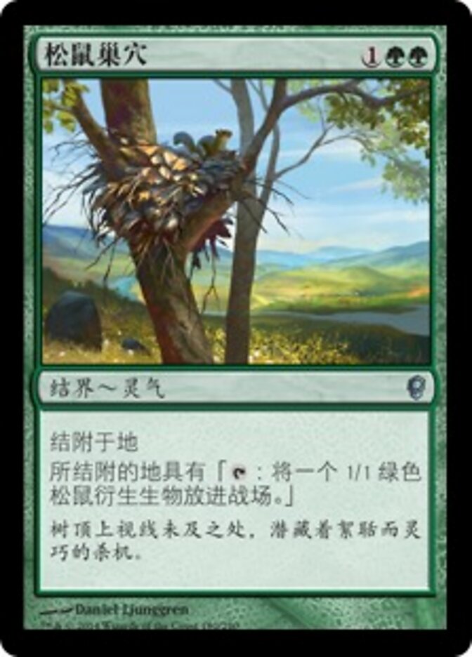 松鼠巢穴