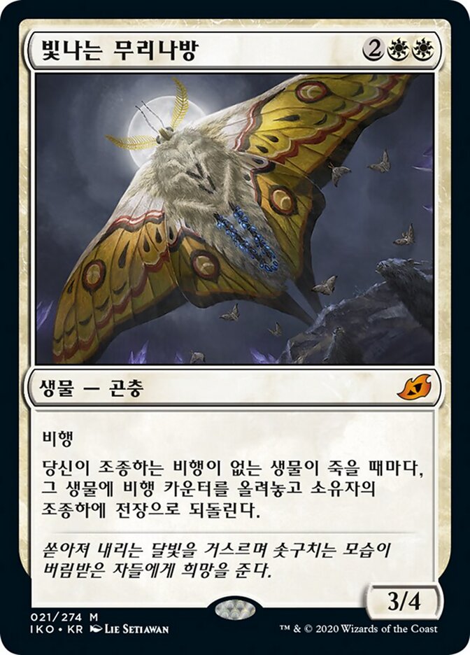 빛나는 무리나방