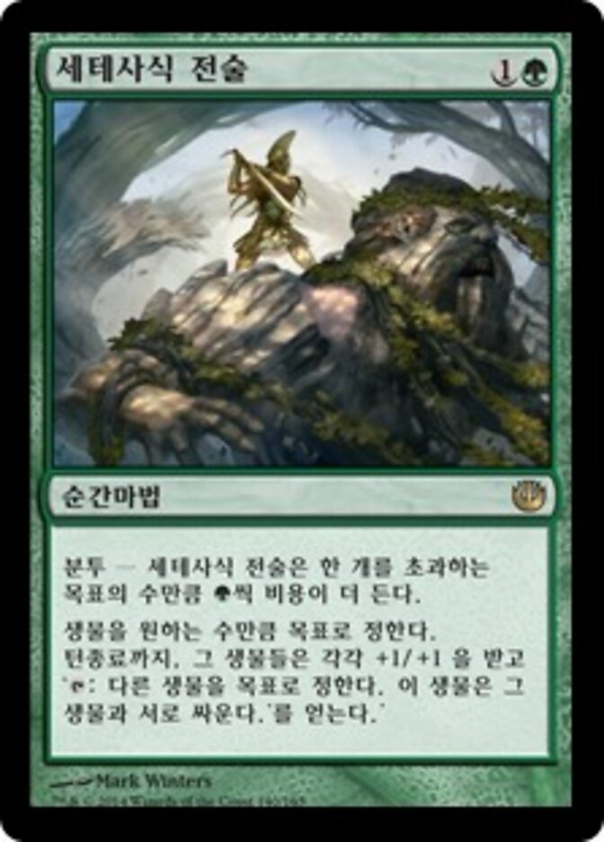 세테사식 전술