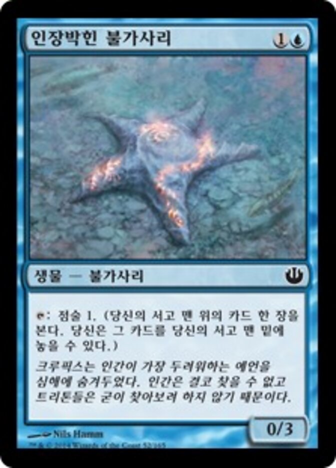 인장박힌 불가사리