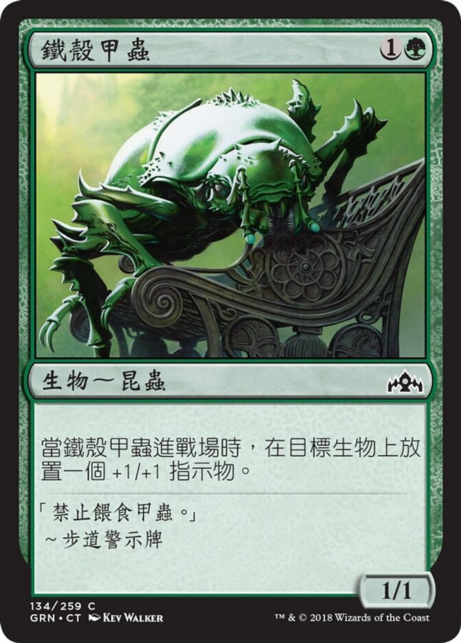 鐵殼甲蟲