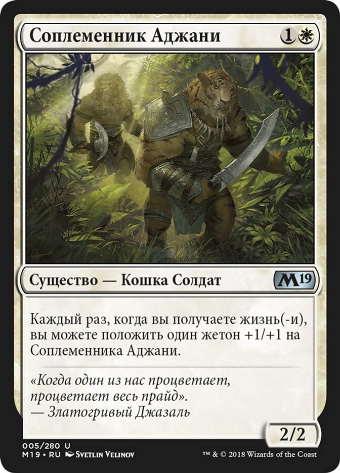 Соплеменник Аджани