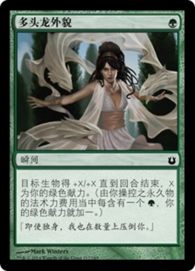 多头龙外貌