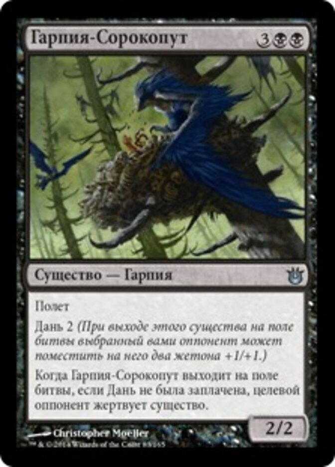 Гарпия-Сорокопут