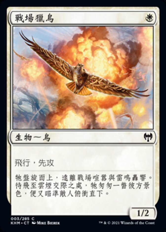 戰場獵鳥