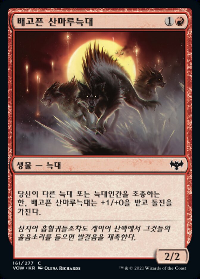 배고픈 산마루늑대