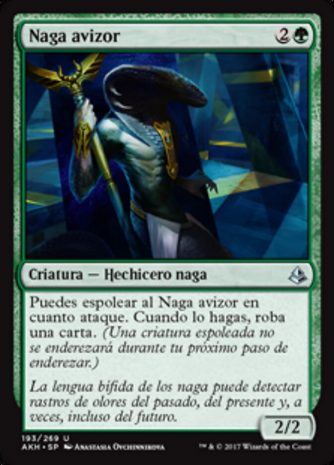 Naga avizor