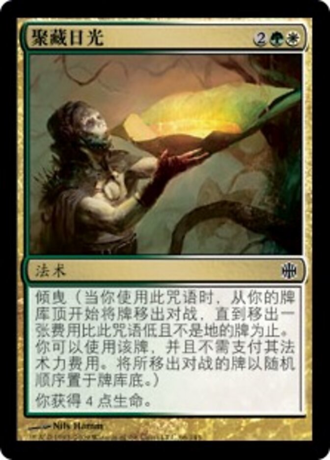 聚藏日光