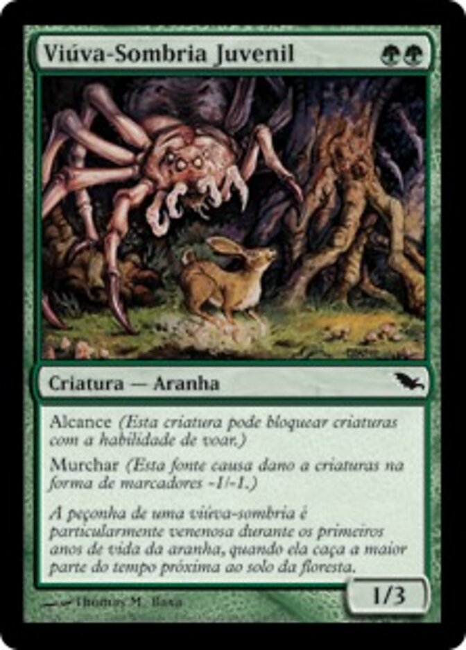 Viúva-Sombria Juvenil