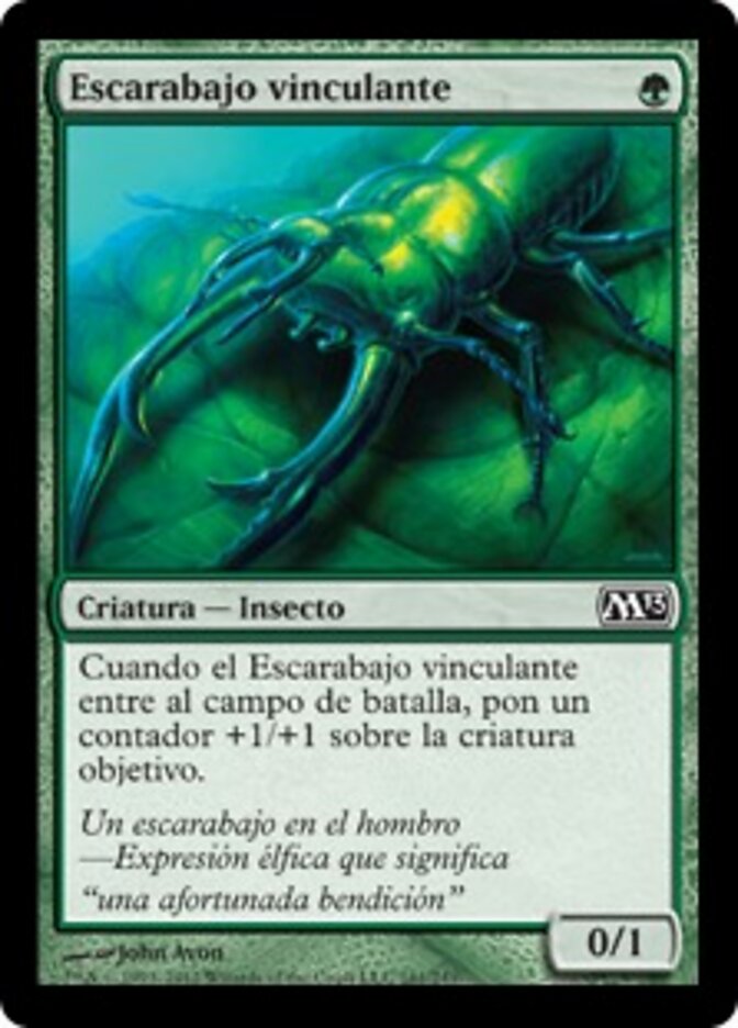 Escarabajo vinculante
