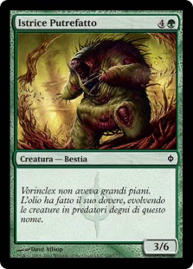 Istrice Putrefatto