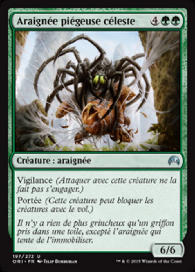 Araignée piégeuse céleste