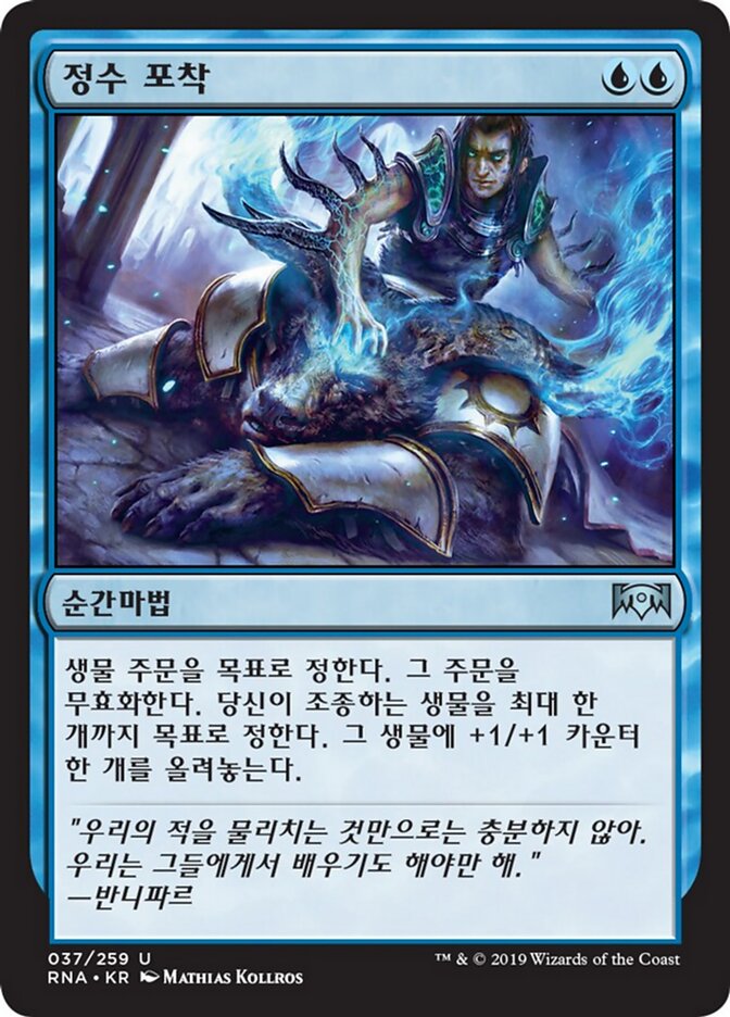 정수 포착
