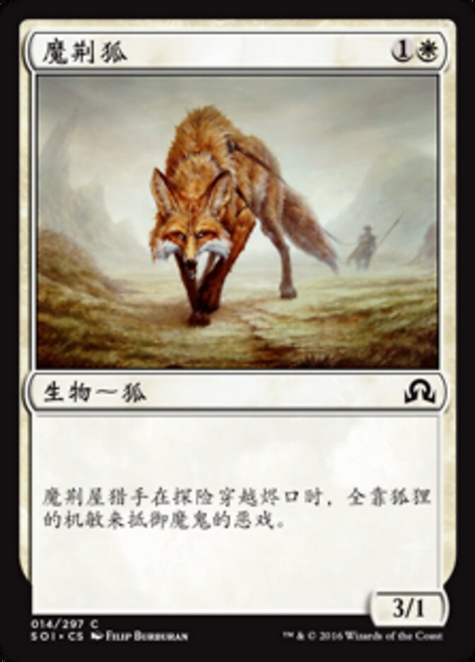 魔荆狐