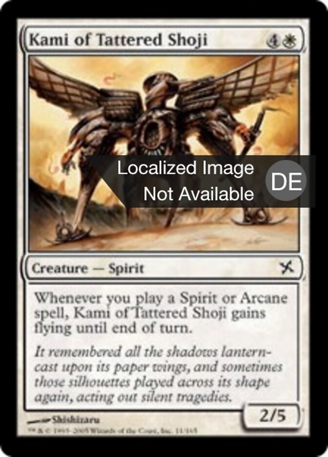 Kami des zerfetzten Shoji
