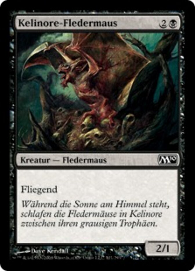 Kelinore-Fledermaus