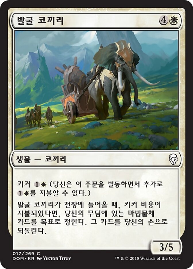발굴 코끼리