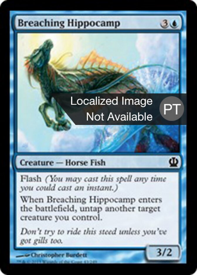 Hipocampo Saltador