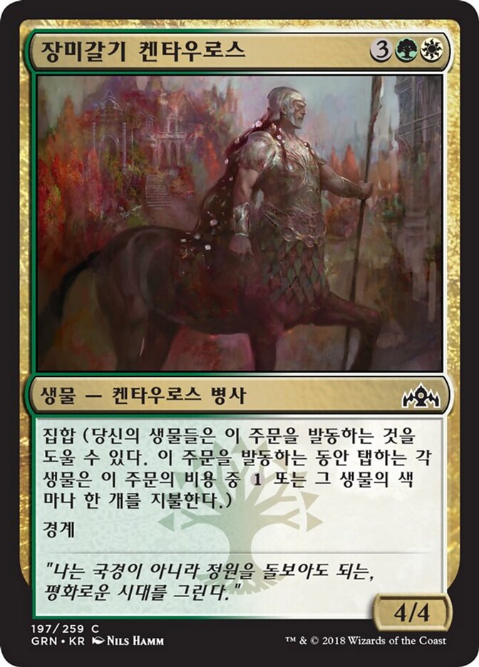 장미갈기 켄타우로스