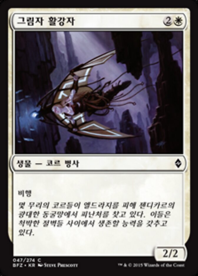 그림자 활강자