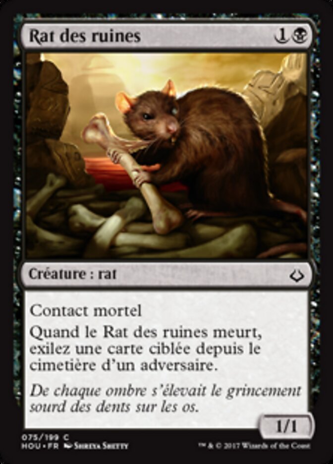 Rat des ruines