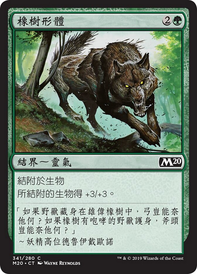 橡樹形體