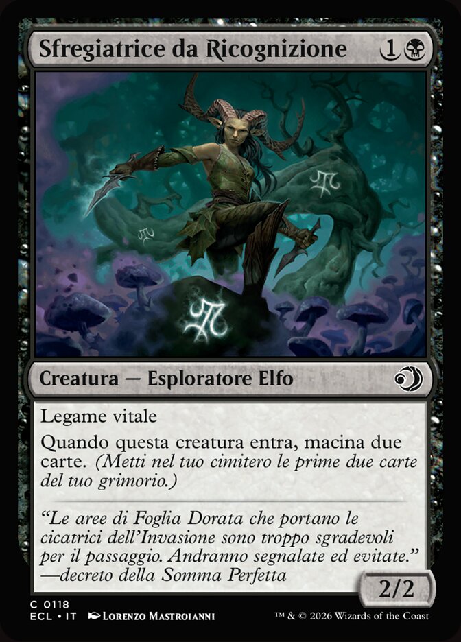 Sfregiatrice da Ricognizione