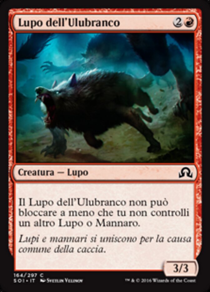 Lupo dell'Ulubranco