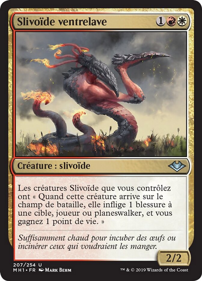 Slivoïde ventrelave