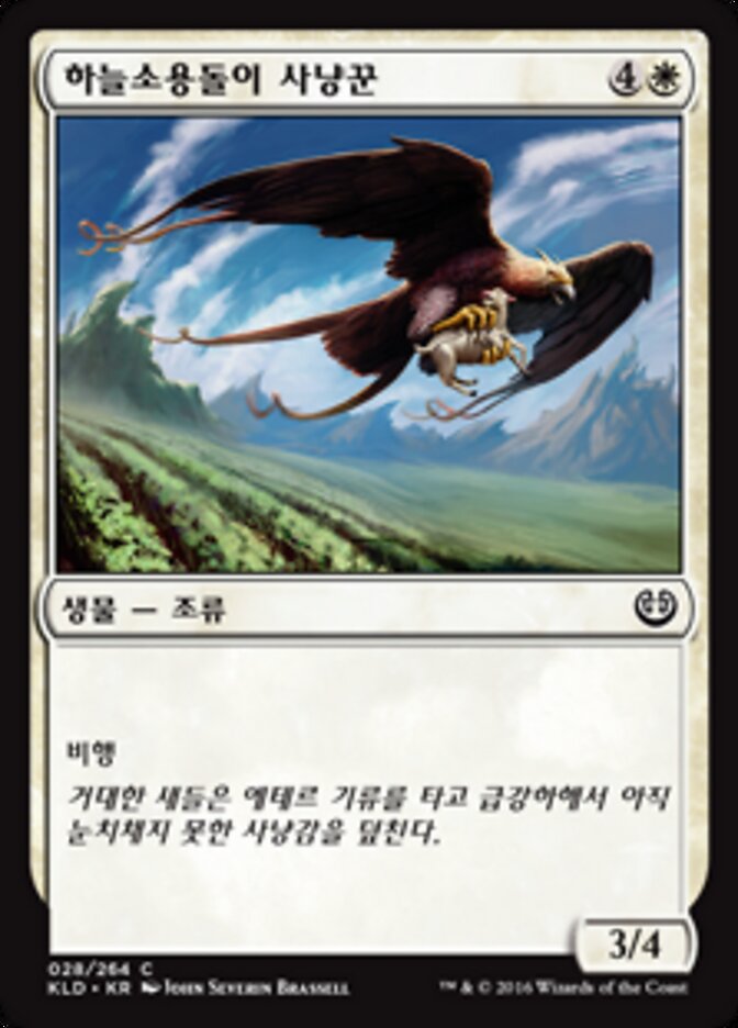 하늘소용돌이 사냥꾼