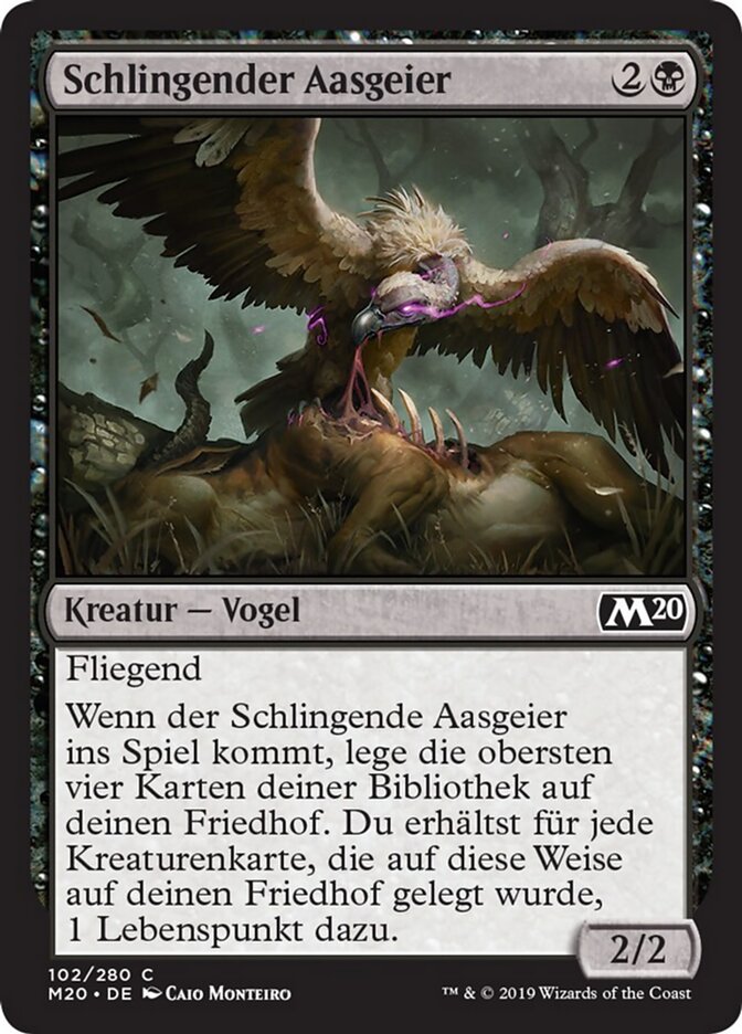 Schlingender Aasgeier