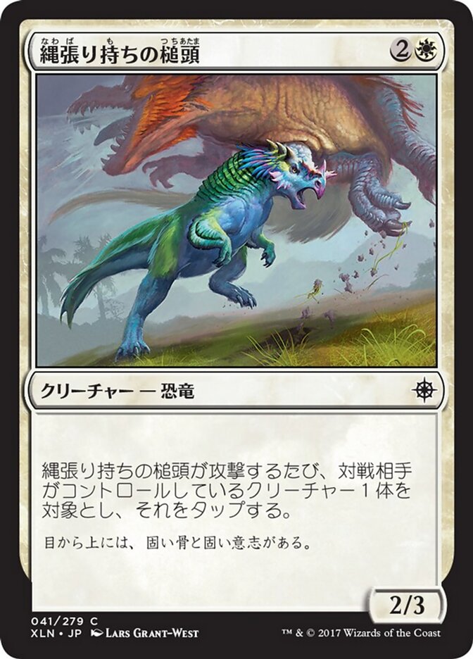 縄張り持ちの槌頭