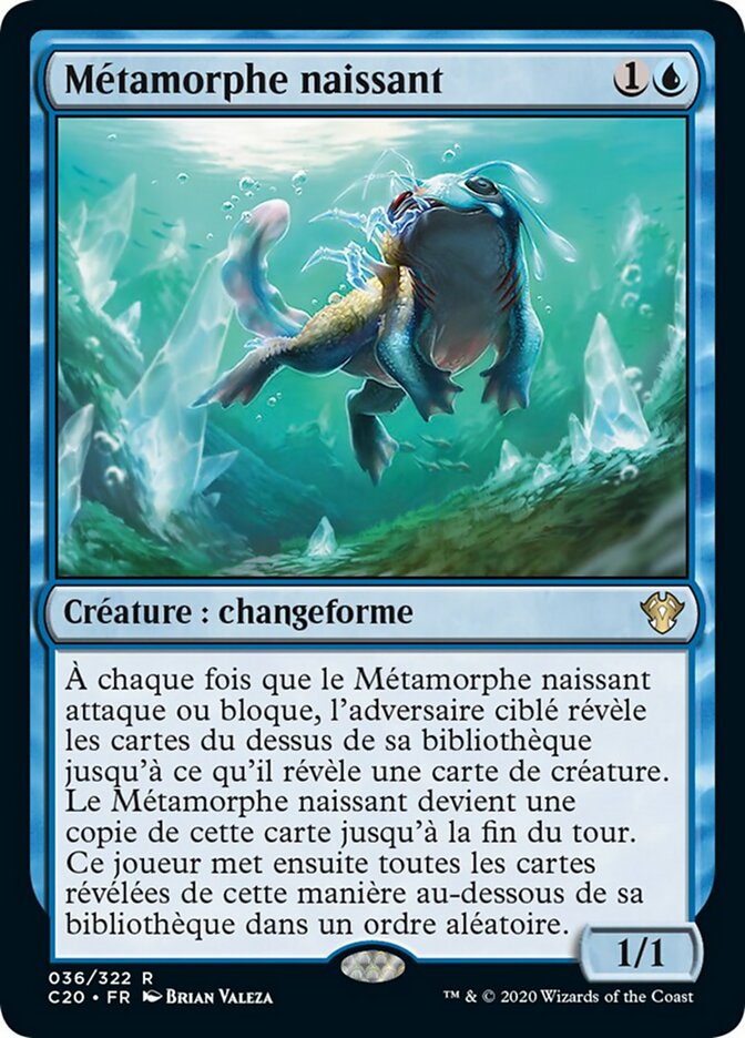 Métamorphe naissant