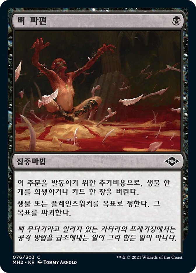 뼈 파편