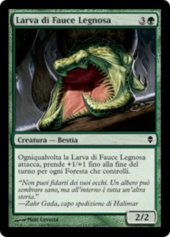 Larva di Fauce Legnosa