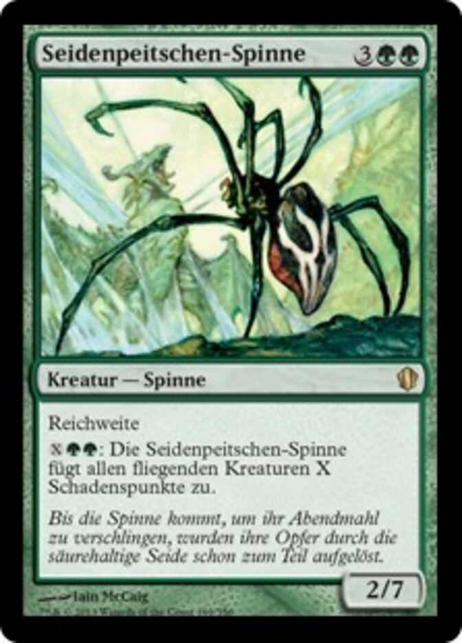 Seidenpeitschen-Spinne