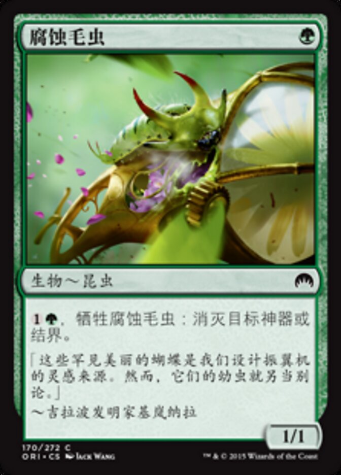 腐蚀毛虫