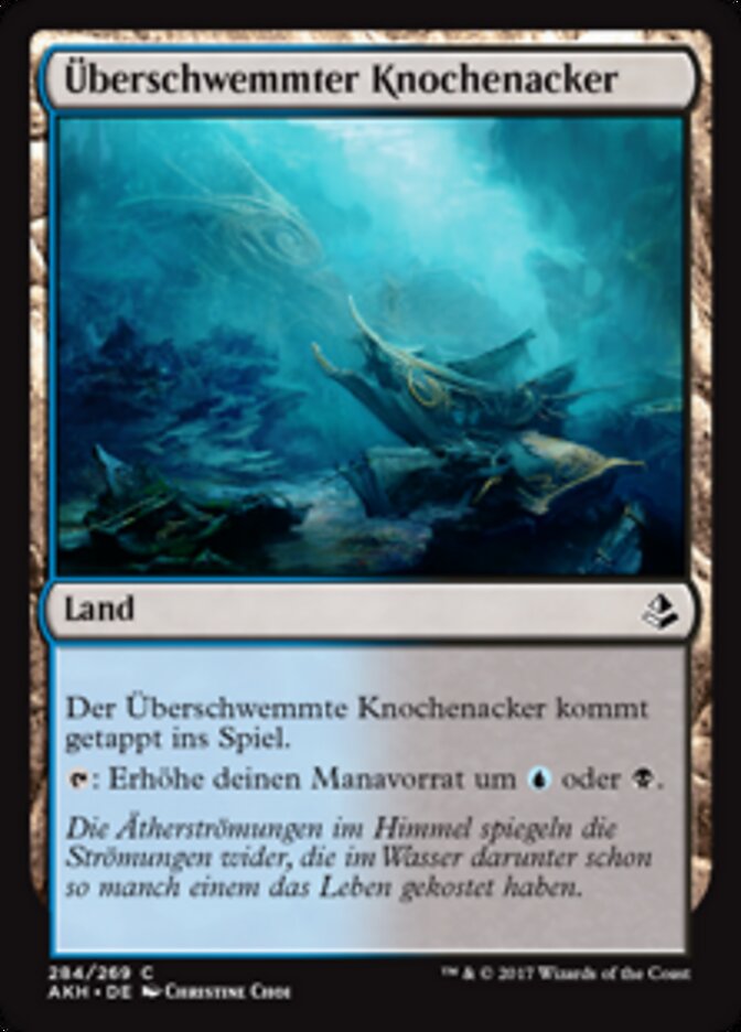 Überschwemmter Knochenacker