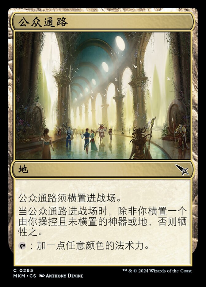 公众通路