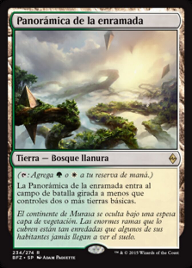Panorámica de la enramada