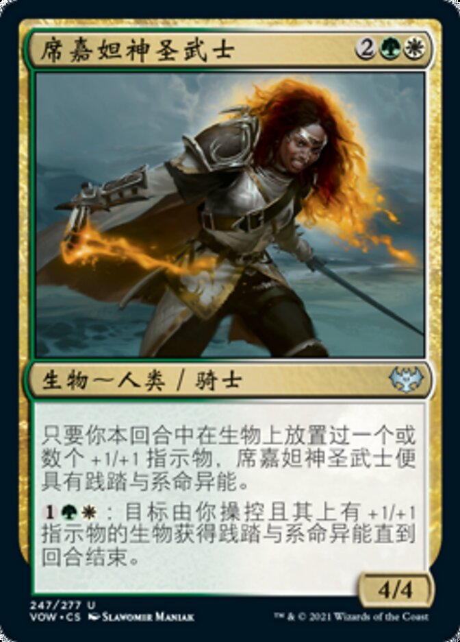席嘉妲神圣武士