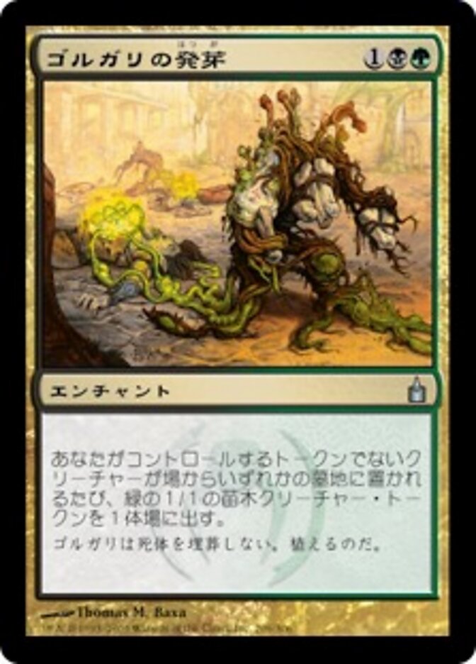 ゴルガリの発芽