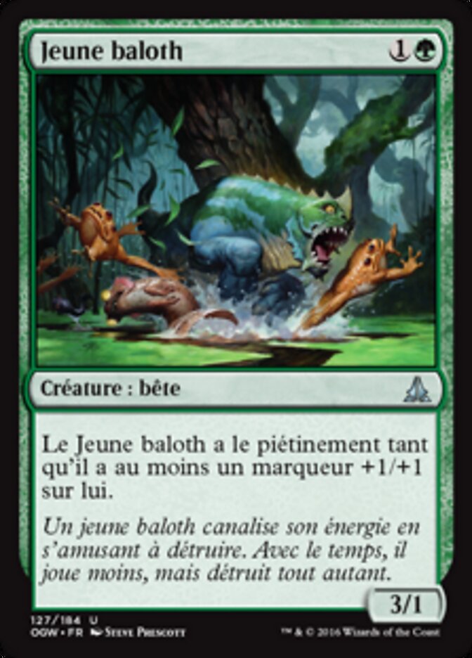 Jeune baloth