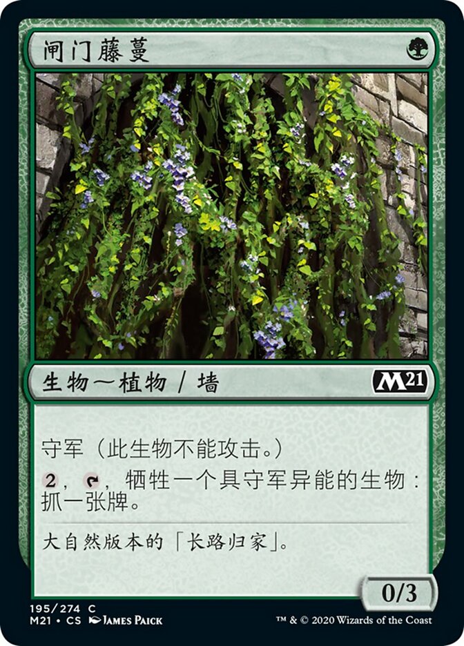 闸门藤蔓