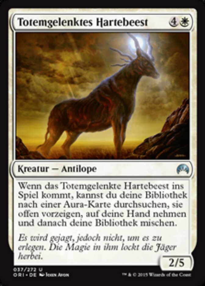Totemgelenktes Hartebeest
