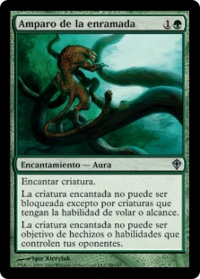 Amparo de la enramada