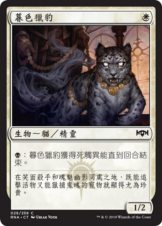 暮色獵豹