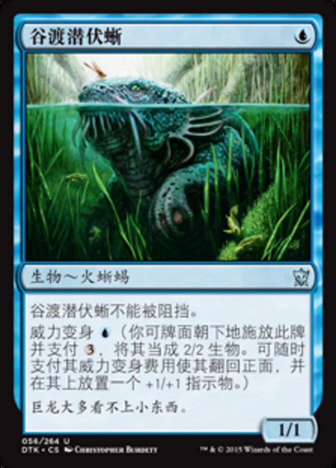 谷渡潜伏蜥