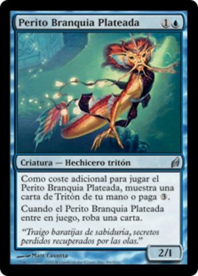 Perito Branquia Plateada