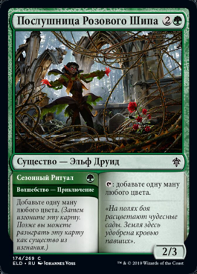 Rosethorn Acolyte // Seasonal Ritual